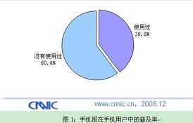 中國互聯(lián)網(wǎng)絡(luò)信息中心（CNNIC）在計算機(jī)軟硬件技術(shù)研發(fā)中的戰(zhàn)略角色與創(chuàng)新實(shí)踐